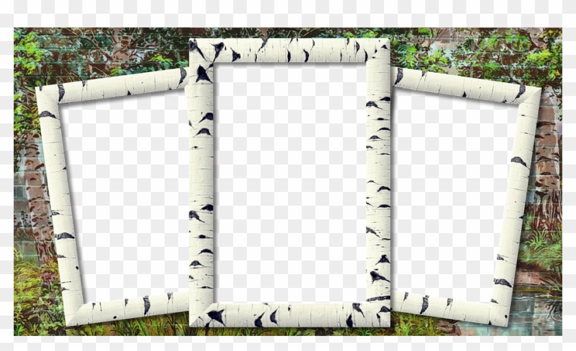 Frame, Photo Frame, Birch, Three Photo - Three Photo Frame Png Clipart