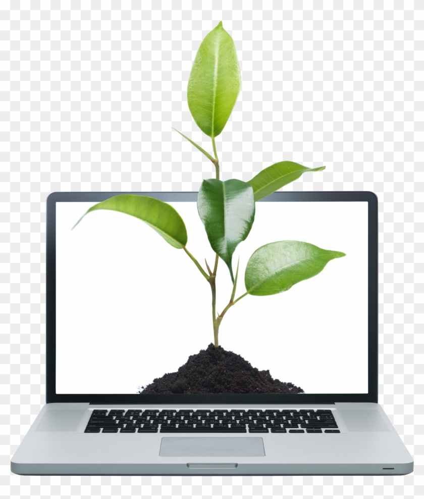 Computer Plant Outline Clipart #2752384