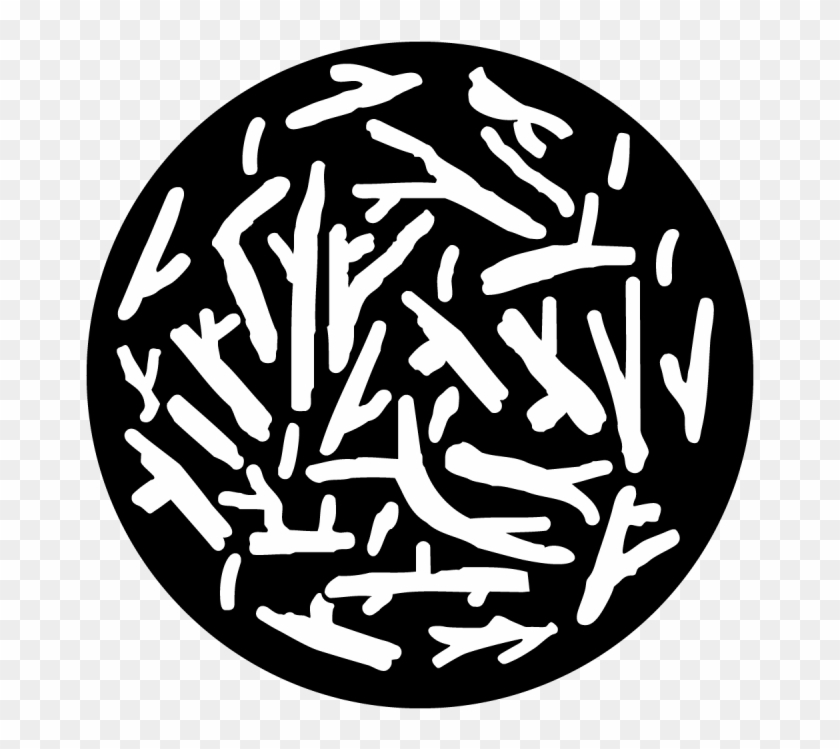 Breakup Twig - Circle Clipart #2752456