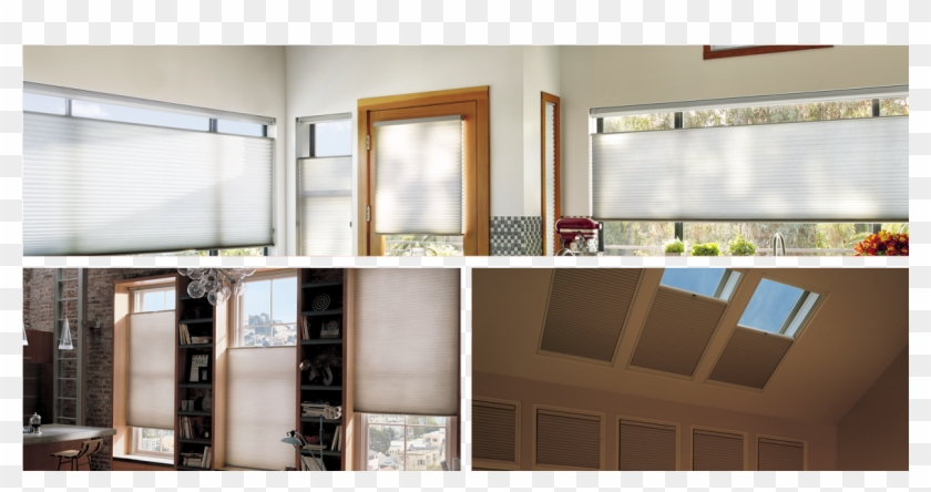 Honey Comb Shades - Shades Clipart