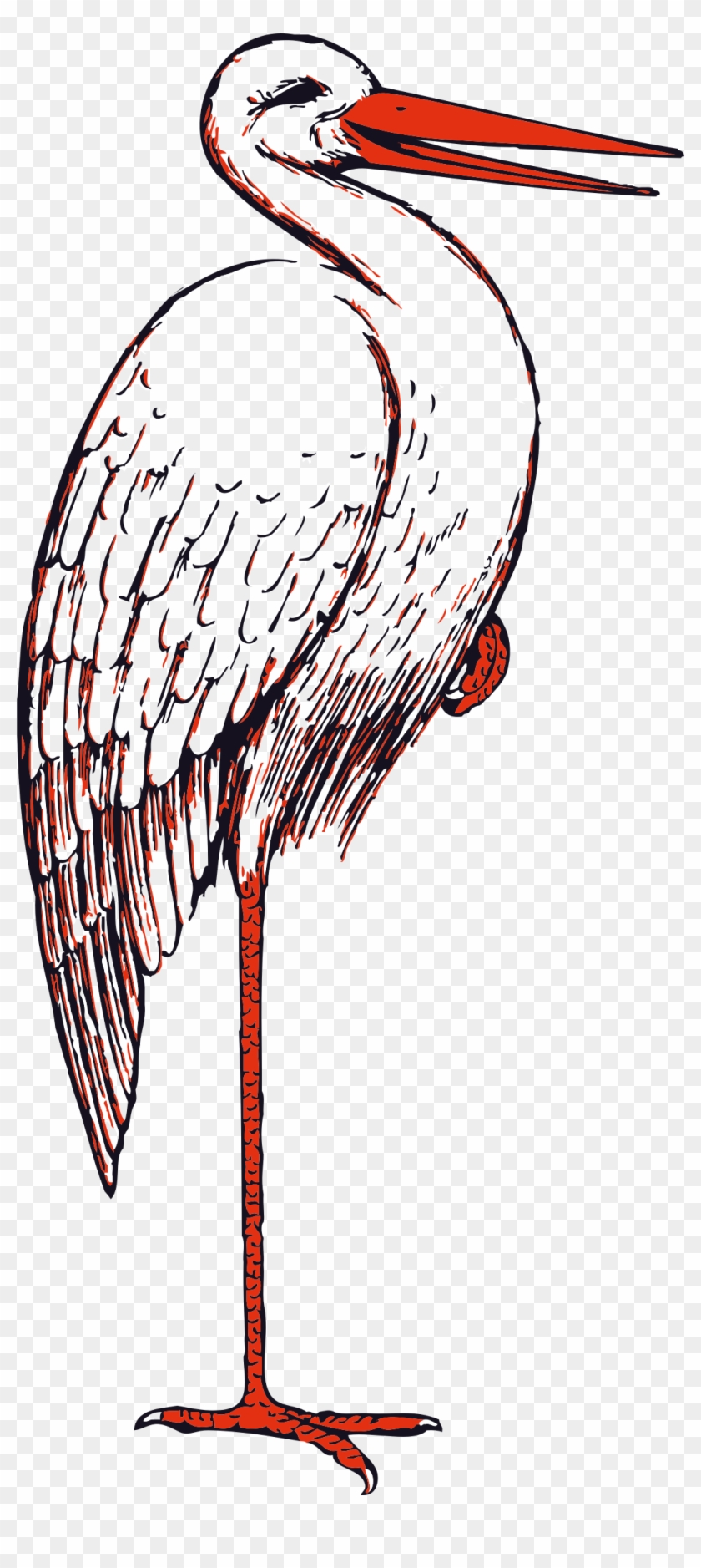 Body Builder Clipart Illustration Image Stork Clipart - Stork Clip Art - Png Download #2752813