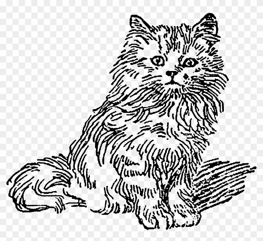 Both Of These Digital Kitten Illustrations Are So Cute - Domestic Long-haired Cat Clipart #2752846