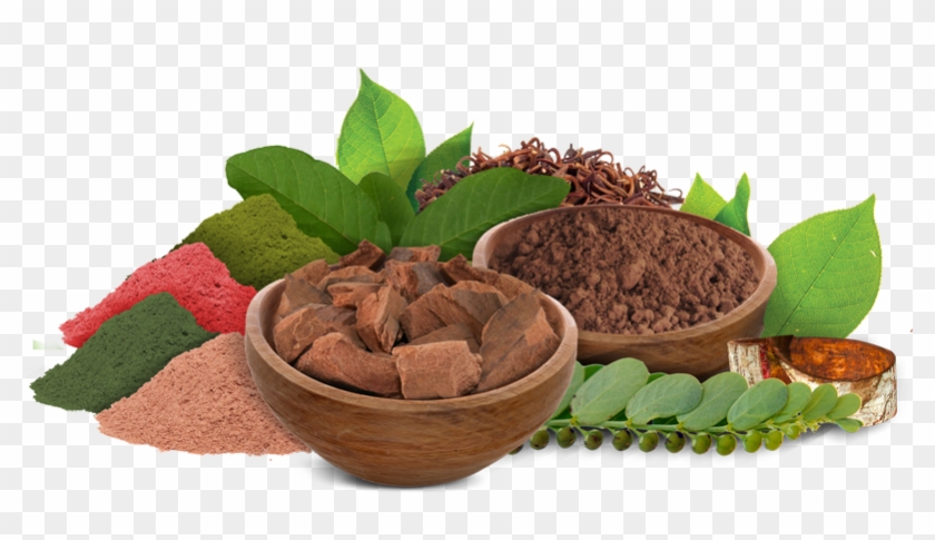 Since Ancient Times, Indigenous Communites In Peru - Medicinal Plants And Herbs Png Clipart #2753255