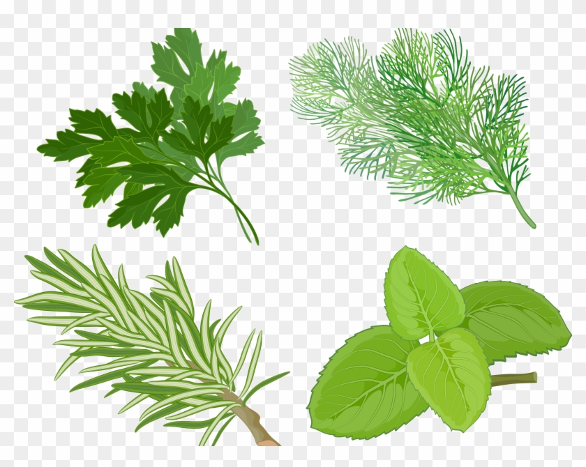 Herb Clipart - Png Download