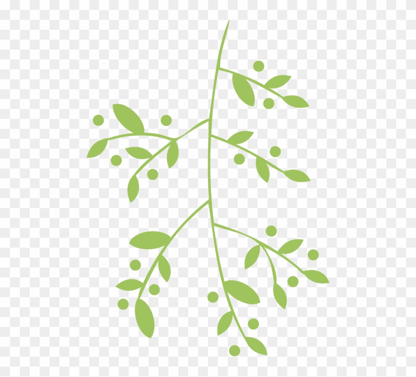 Vector-top - Herbal Vector Png Clipart #2753293