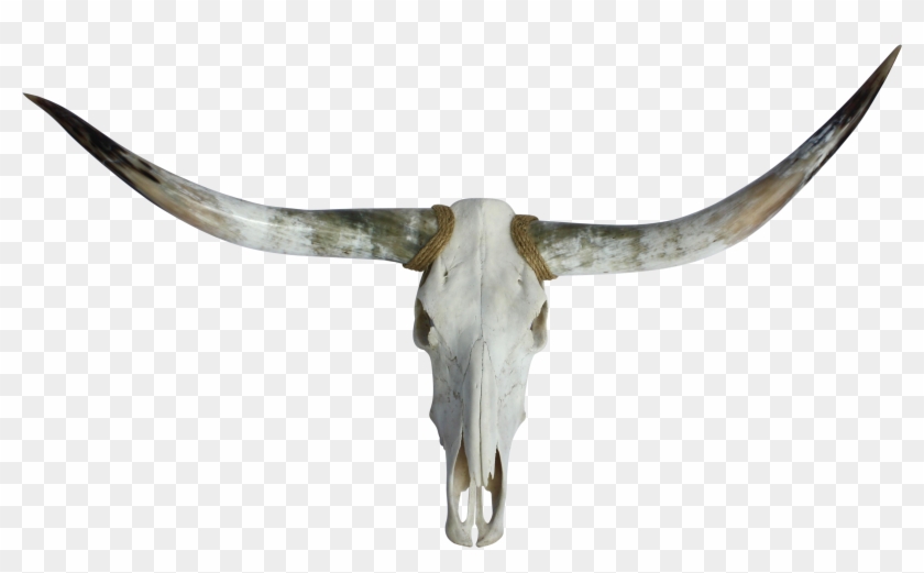 Texas Chairish - Skull Clipart
