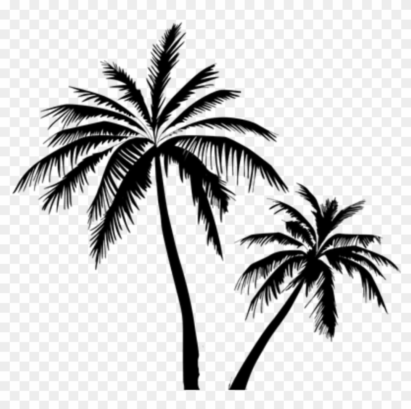 #palmeras - Coconut Tree Vector Png Clipart #2754801
