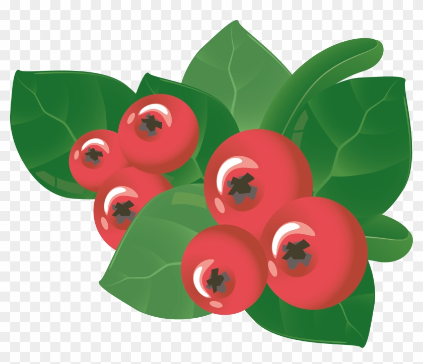 Berry Vector Leaf - Clip Art - Png Download