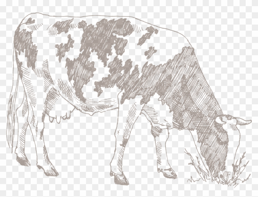 Cattle Clipart #2760611