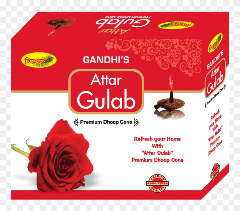 Attar Gulab - Garden Roses Clipart #2762692