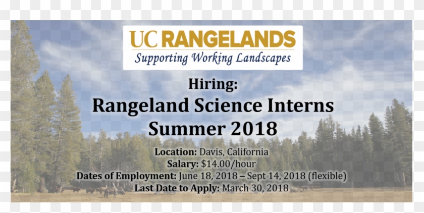 Job Announcements - Parul Institute Clipart #2763242