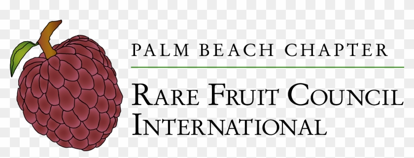 The Palm Beach Chapter Of The Rare Fruit Council International, - Illustration Clipart #2763263