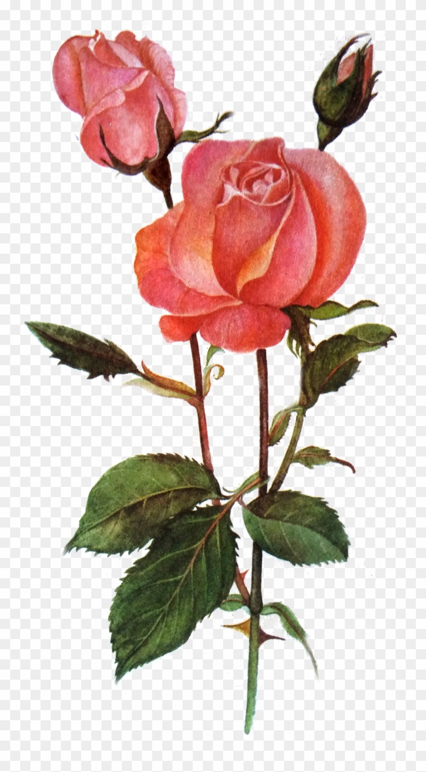 Flowers Mala Png Clipart #2763537