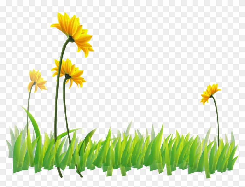 Narcissus Flora Yellow Wildflower Wallpaper - Wallpaper Clipart