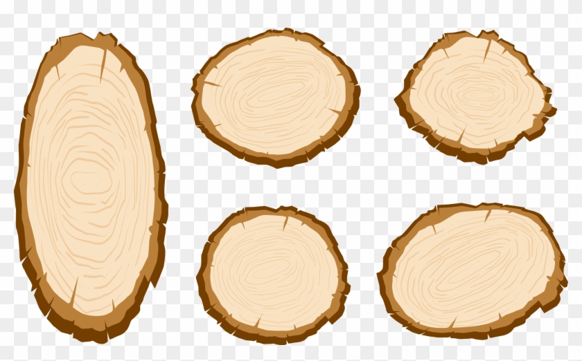 Wood Aastarxf Ngad Tree Vector Painted Sliced - Clipart Wood Slice Png Transparent Png