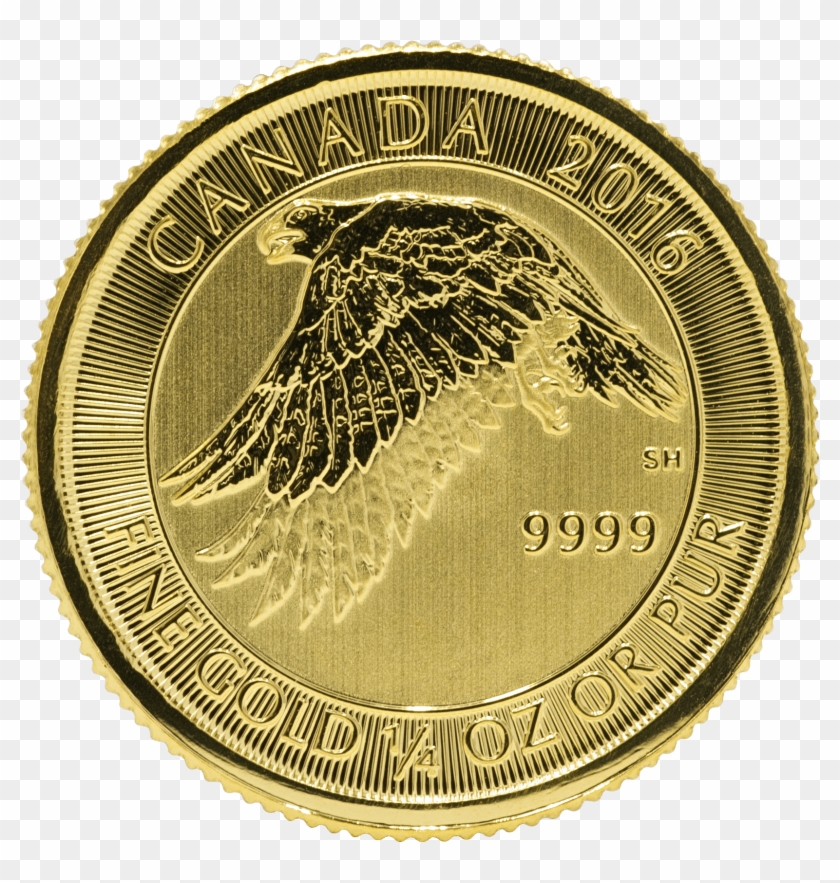 Gold Canadian Gyrfalcon 1/4 Oz - Canada 2016 1 4 Oz Gold Snow Falcon Clipart #2764843