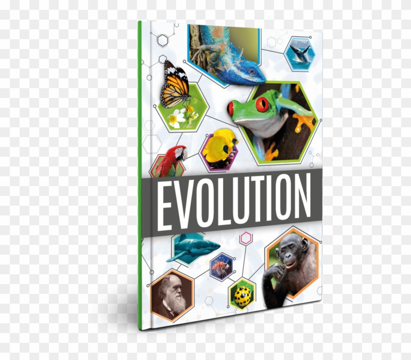 Evolution Transparent Ks2 - Graphic Design Clipart