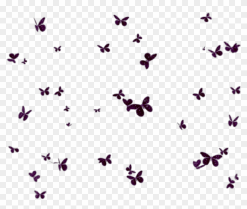 #butterflies #mariposas #mariposa #butterfly #group - Butterfly Clipart #2765386