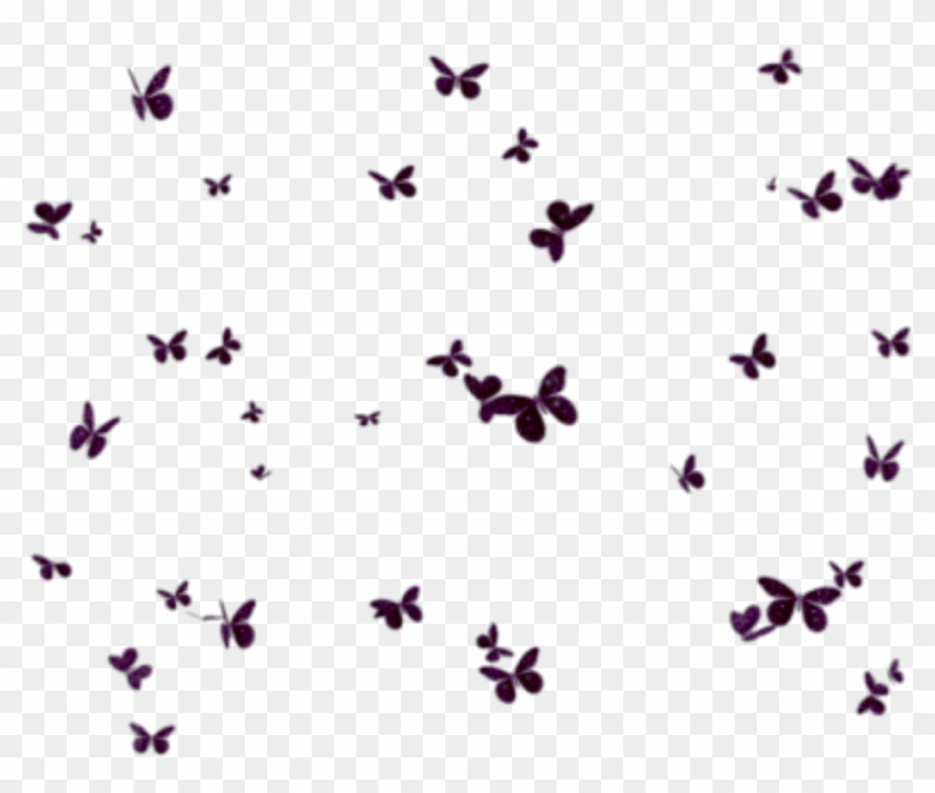 #butterflies #mariposas #mariposa #butterfly #group - Butterfly Clipart