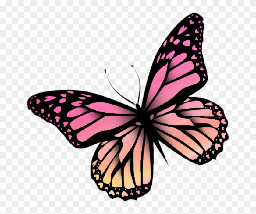 #butterfly #mariposa #monarch #monarca #nature #naturaleza - Butterfly Monarcas Clipart #2765389