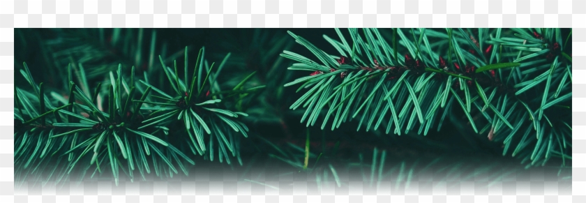 Previous - Next - City Hope Church Christmas Clipart #2765616