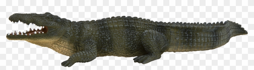 Nile Crocodile Transparent Clipart #2767000