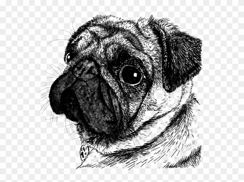 Drawing , Png Download - Pug Clipart #2767447