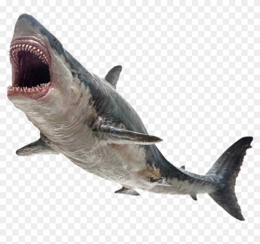 Freetoedit Shark Monster Killer Jaws - Pnso Megalodon Clipart