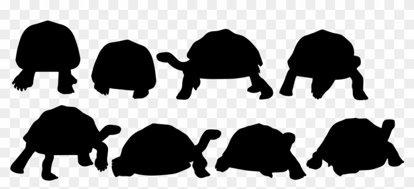 Download Png - Darwin Skildpadder Clipart #2768578