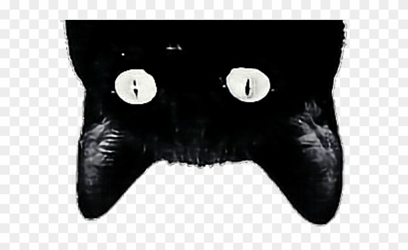 Tumblr Cat Png Transparent Background - Upside Down Cat Png Clipart