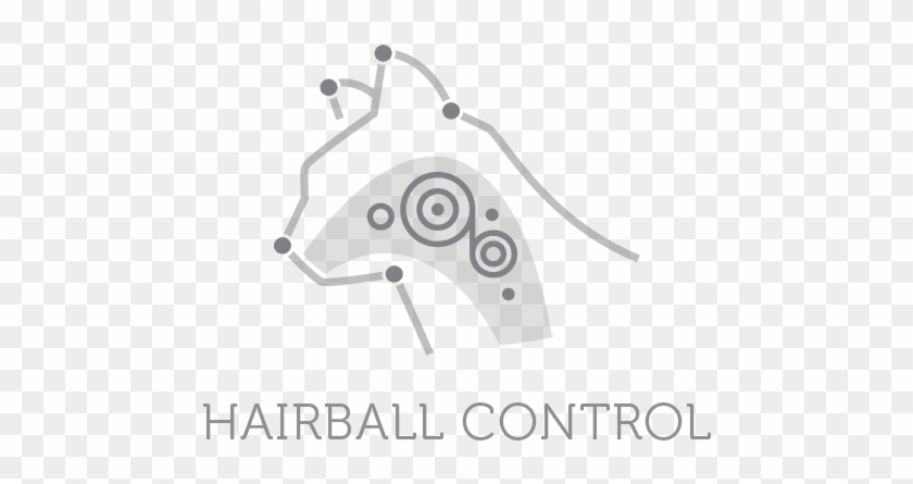 Natural Fibre Sources From Cellulose And Sugar Beet - Illustration Clipart #2768750