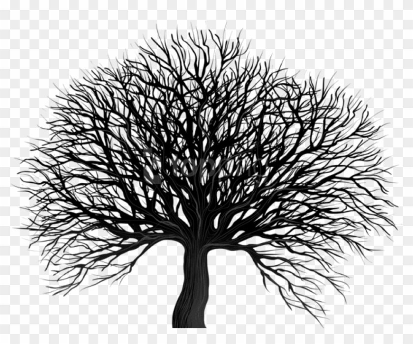 Free Png Download Black Tree Png Png Images Background - Transparent Background Black Tree Png Clipart #2768774