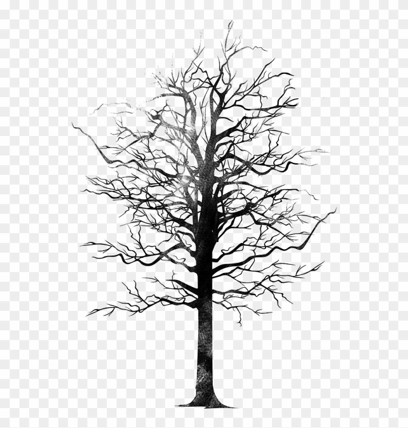 Bird & Tree Png - Monochrome Clipart #2768776