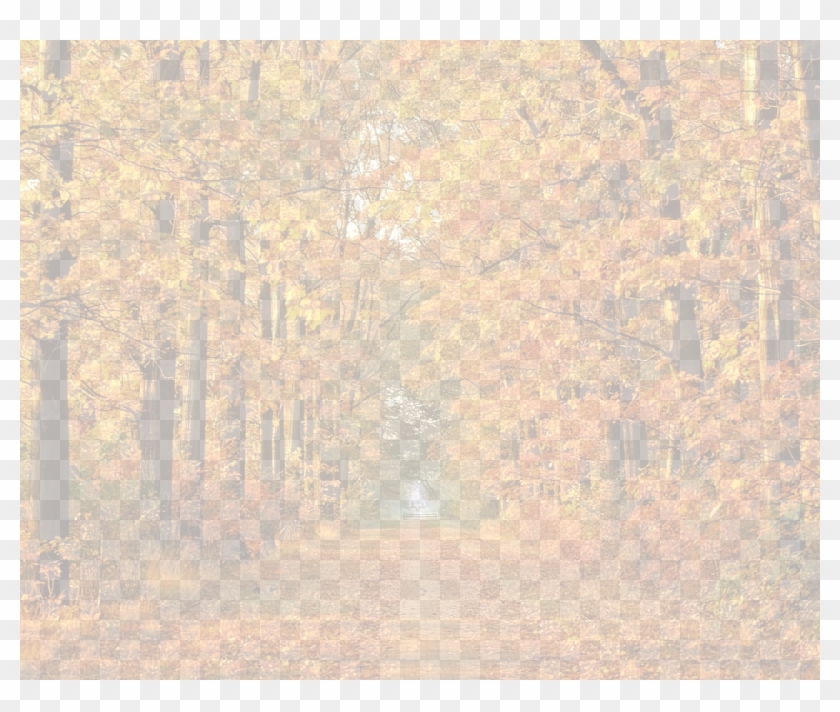 Autumn - Grove Clipart #2770556