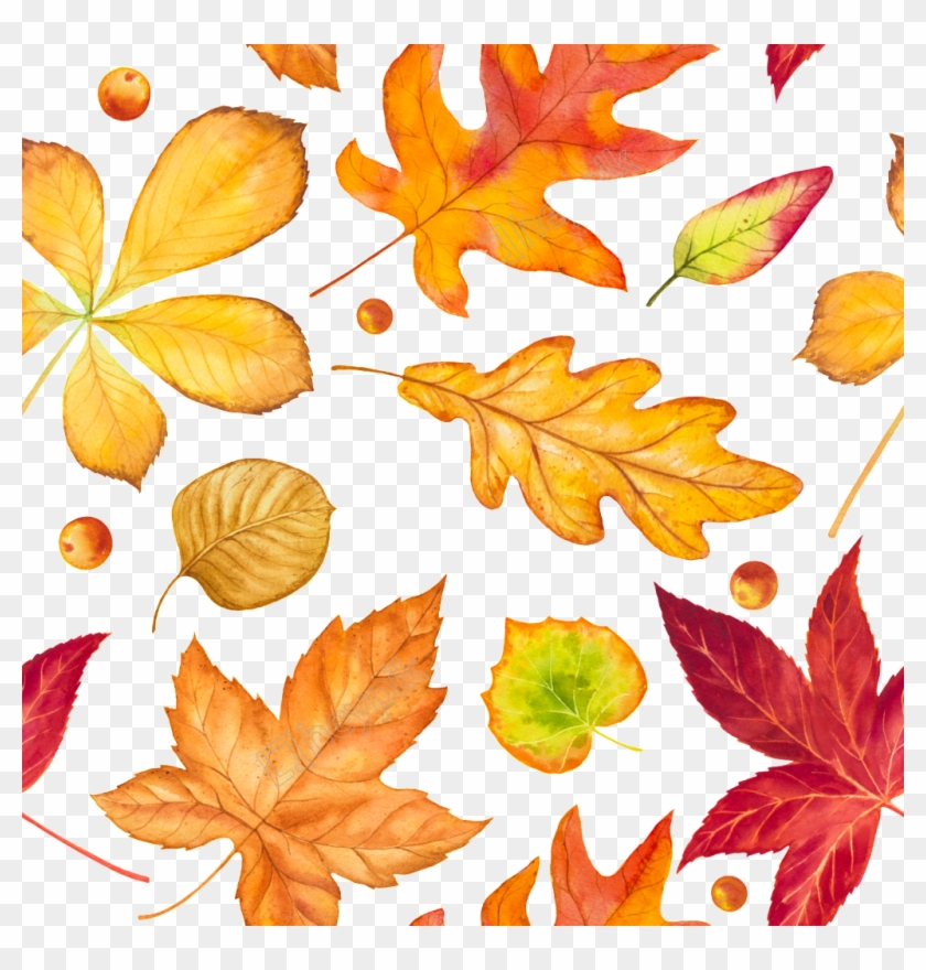 Hand Drawn Leaves Falling Free Download Ai - Fallen Leaves Autumn Drawing Clipart