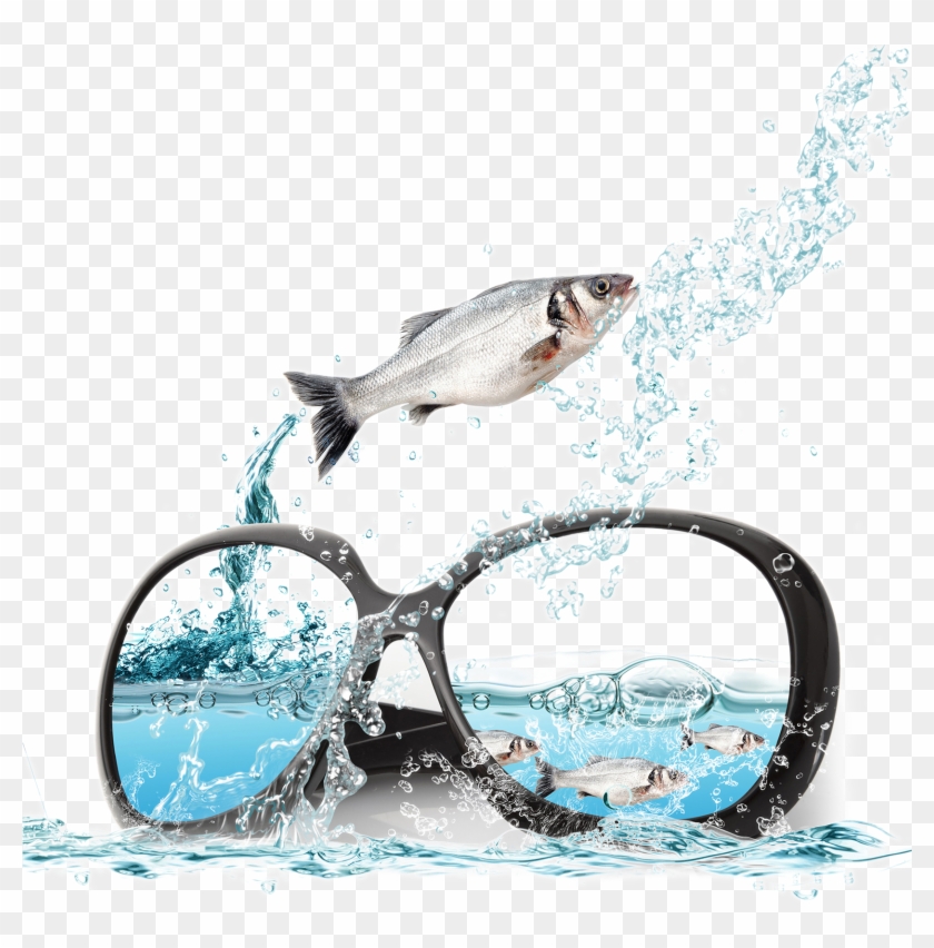 And Sunglasses Poster Fish Ocean Advertising In Clipart - Glasses - Png Download #2770798