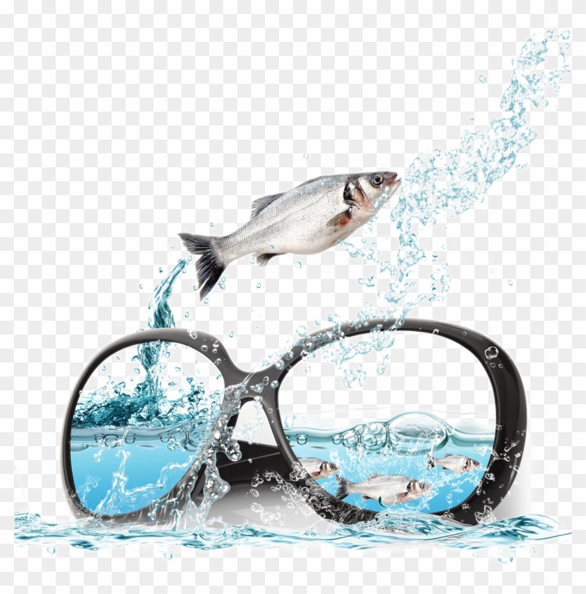 And Sunglasses Poster Fish Ocean Advertising In Clipart - Glasses - Png Download