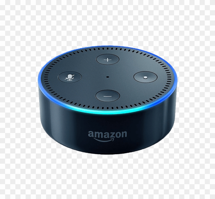 totalmount echo dot