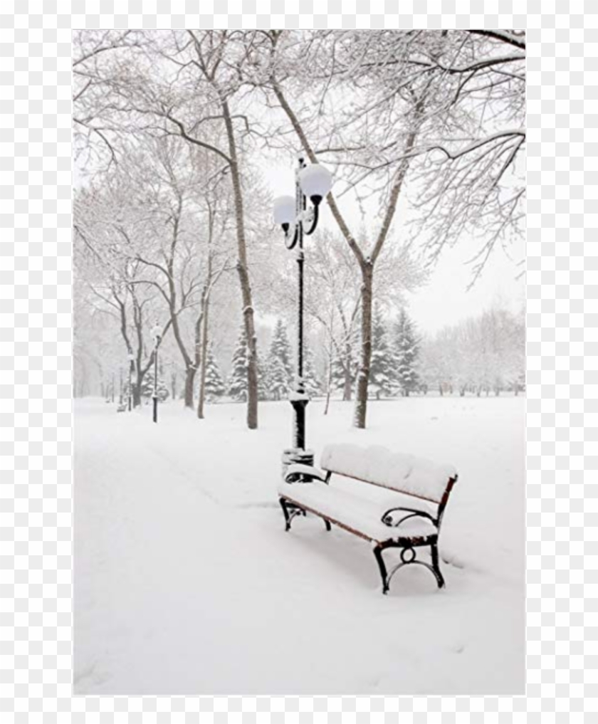 #background #winter #snow #christmas #sticker #ladymc - Winter Scenes With Snowy Tree And Bench Under Tree Clipart