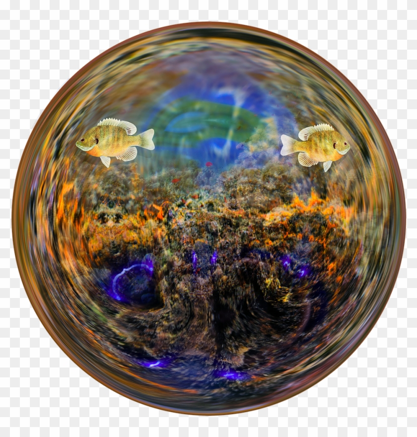 Fish Aquarium Water Glass Ball Png Image - Circle Clipart #2772325