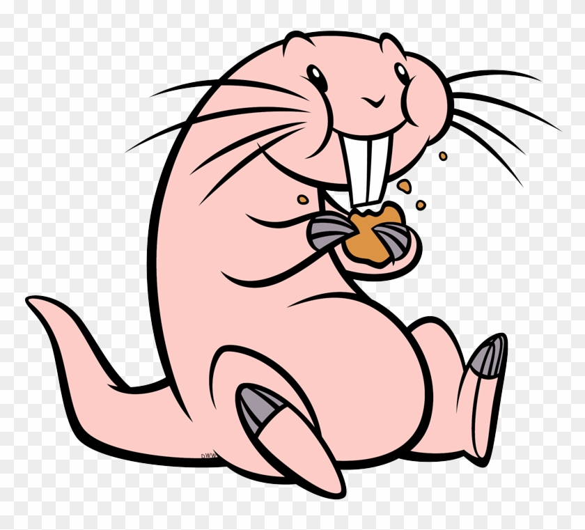 Rufus Eating A Cookie - Rufus Kim Possible Animal Clipart
