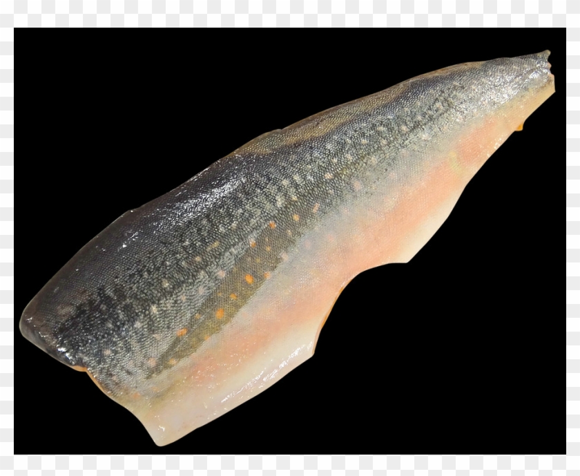 Food And Drinks Collection - Fish Fillet Clipart