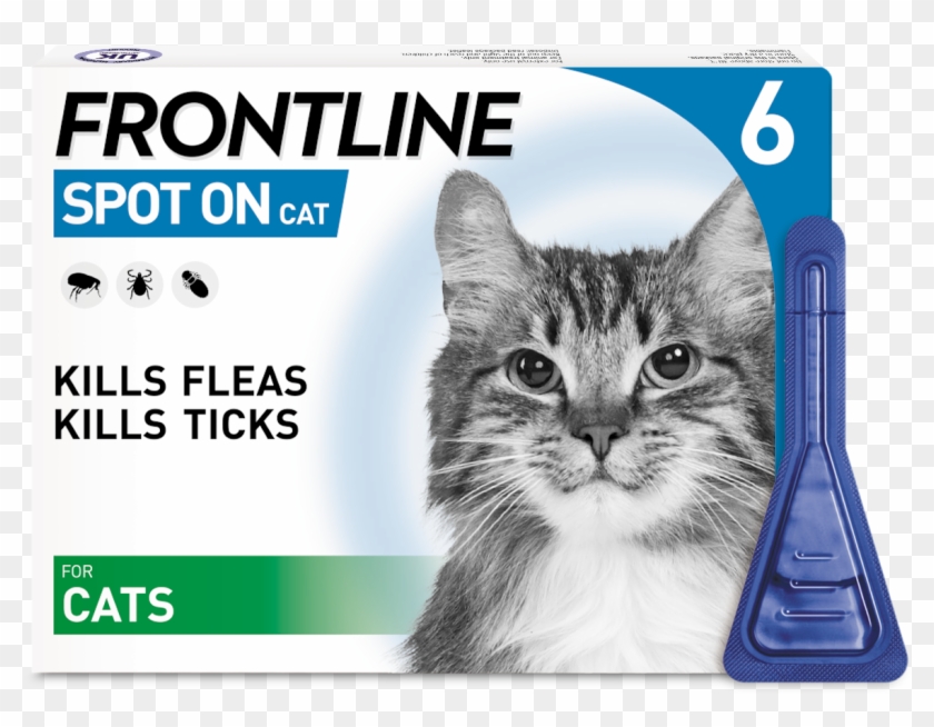 Frontline Flea Spot On Cat - Frontline Spot On For Nursing Dog Clipart