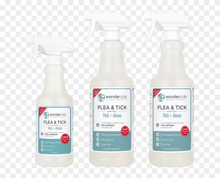 Plastic Bottle Clipart #2774848