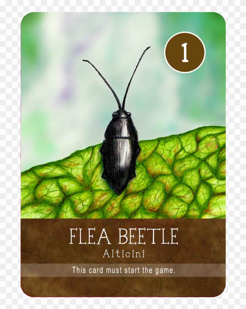 Firefly Clipart #2774852