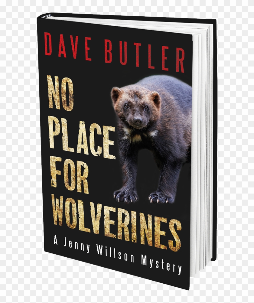 And At Your Favourite Local Book-seller - Grizzly Bear Clipart