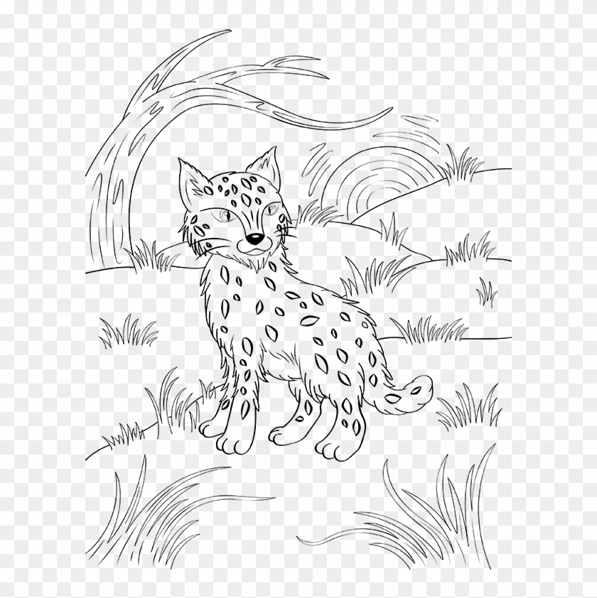 Bobcat Coloring Page - Bobcat Coloring Pages Clipart #2775135