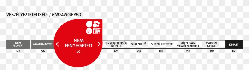 They Have Large Five Toed Paws With Large Crampon Like - Iucn Status Least Concern Clipart #2775177