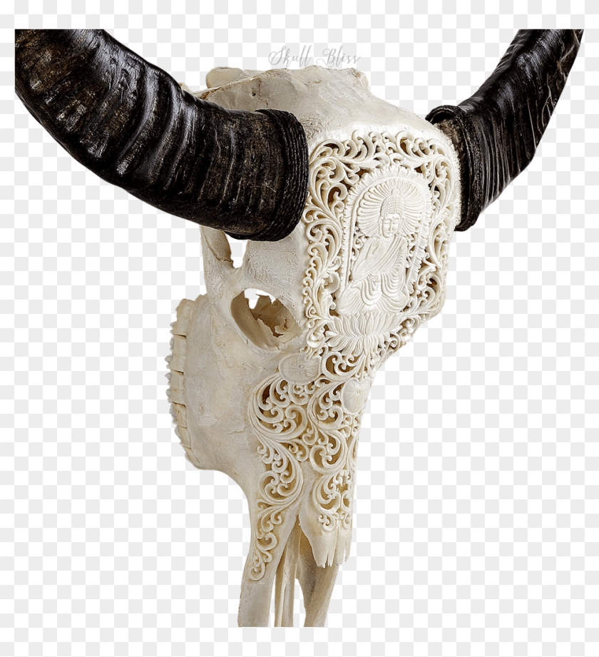 Carved Buffalo Skull Buddha Skull Bliss Png Carved - Horn Clipart #2775506