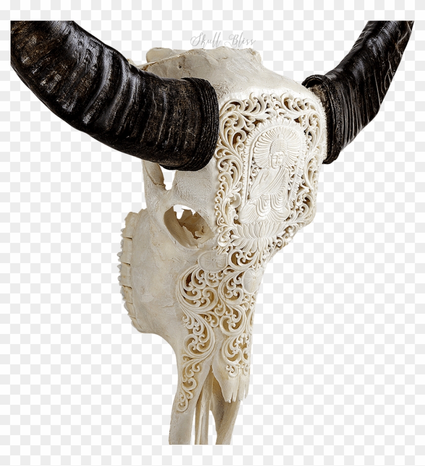 Carved Buffalo Skull Buddha Skull Bliss Png Carved - Horn Clipart